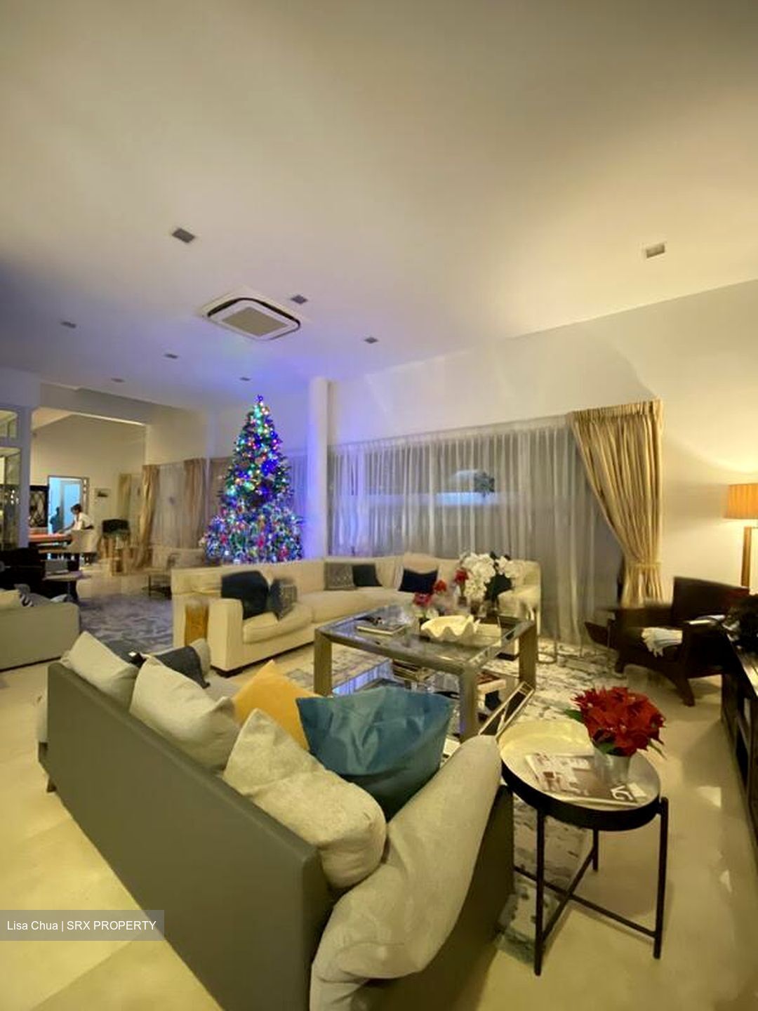 Ah Soo Garden (D19), Semi-Detached #458623651
